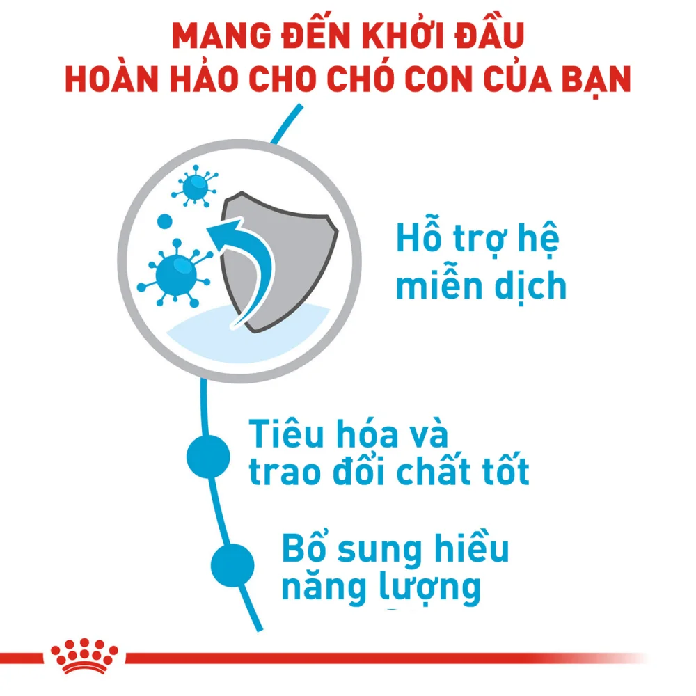 Thức Ăn Hạt Cho Chó Xsmall Puppy