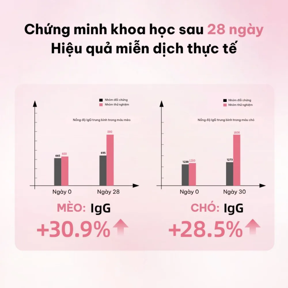 Snack cho thú cưng hỗ trợ miễn dịch Dr.Vet