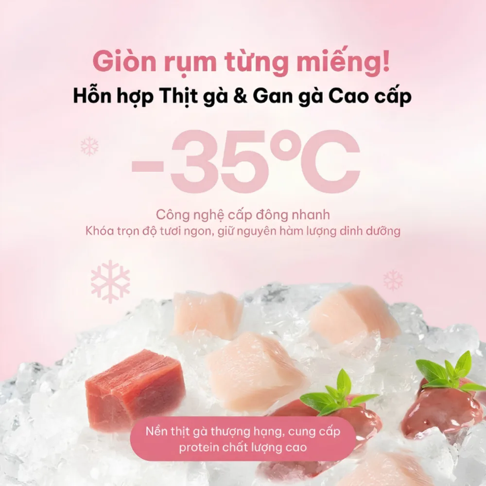 Snack cho thú cưng hỗ trợ miễn dịch Dr.Vet