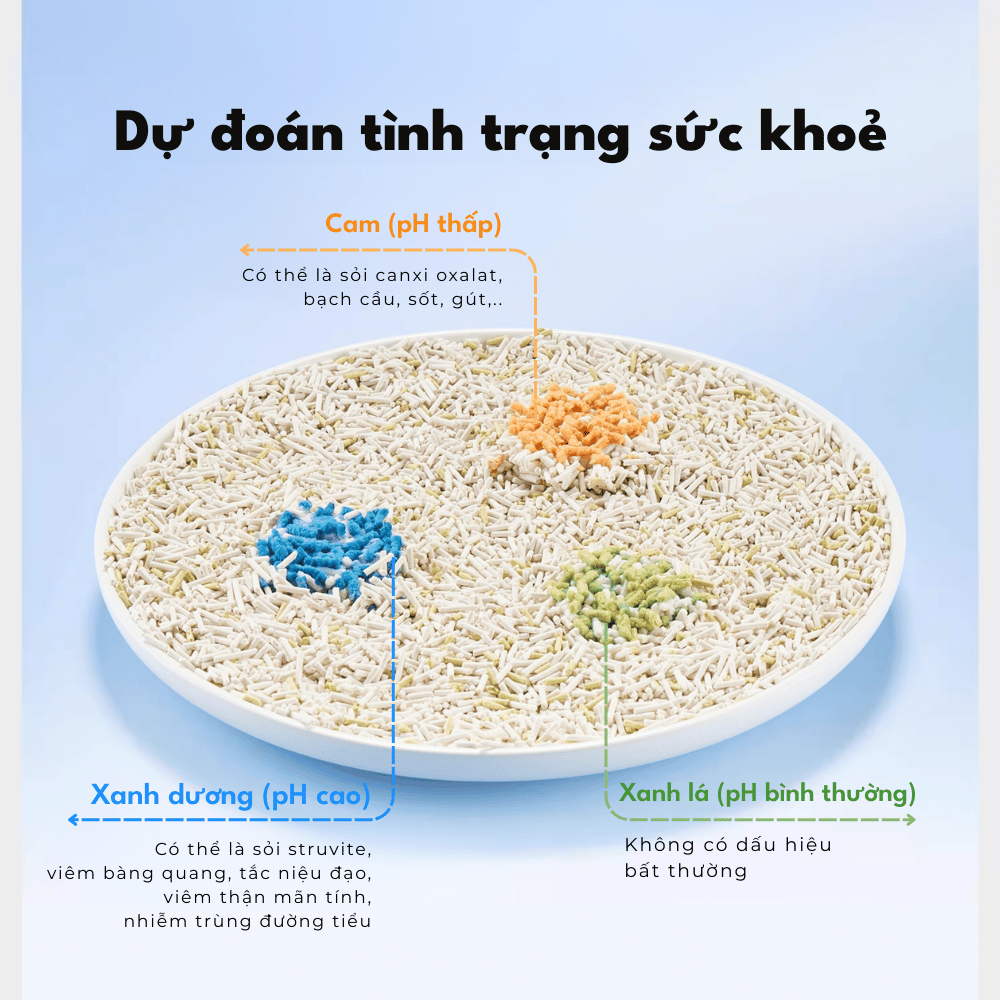 Cát Vệ Sinh Cho Mèo PETKIT Giúp Theo Dõi Nước Tiểu
