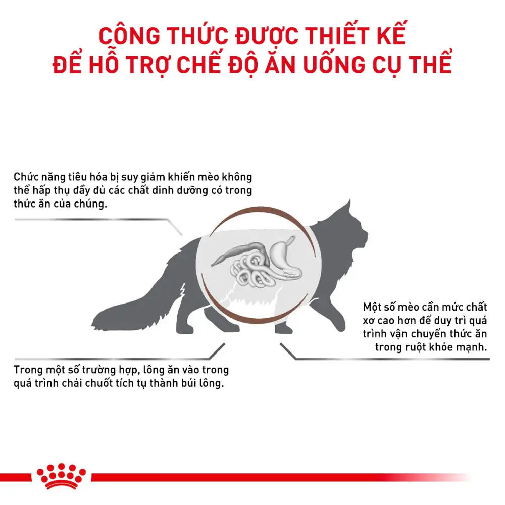 Thức Ăn Hạt Cho Mèo Tiêu Búi Lông Royal Canin Hairball