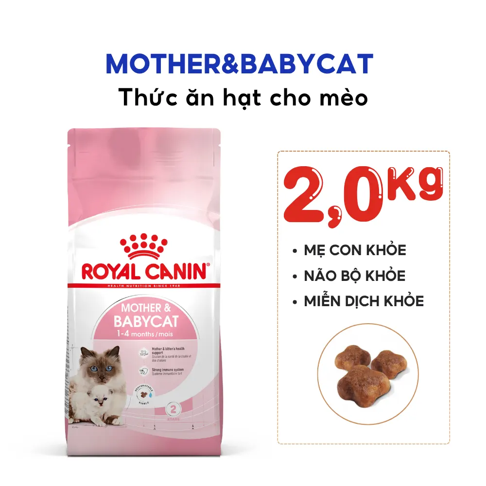 Thức Ăn Hạt Cho Mèo Mẹ & Mèo Con Royal Canin Mother & Babycat