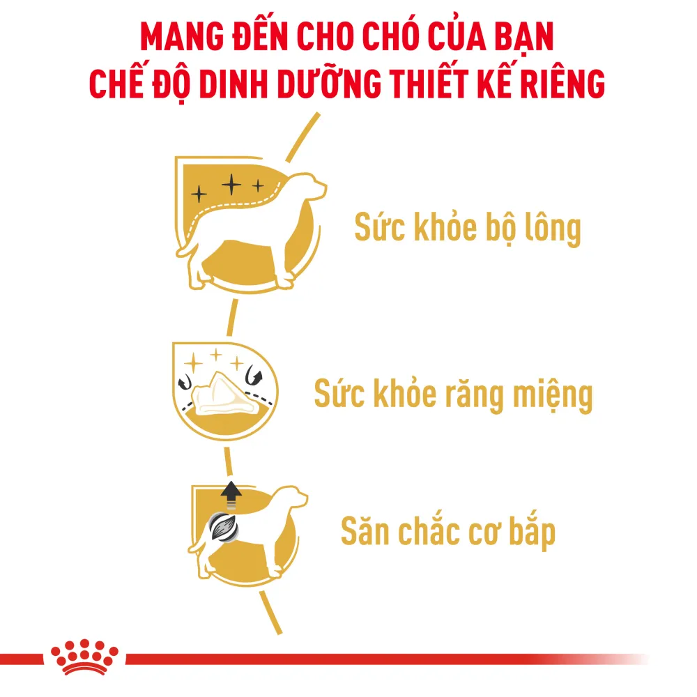 Hạt Cho Chó Poodle Trưởng Thành Royal Canin Poodle Adult
