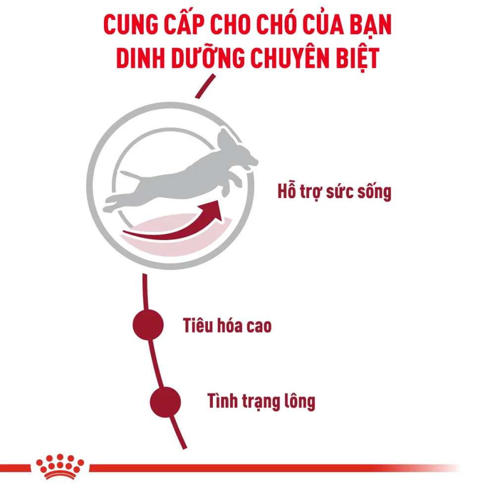 Thức Ăn Hạt Cho Chó Medium Adult