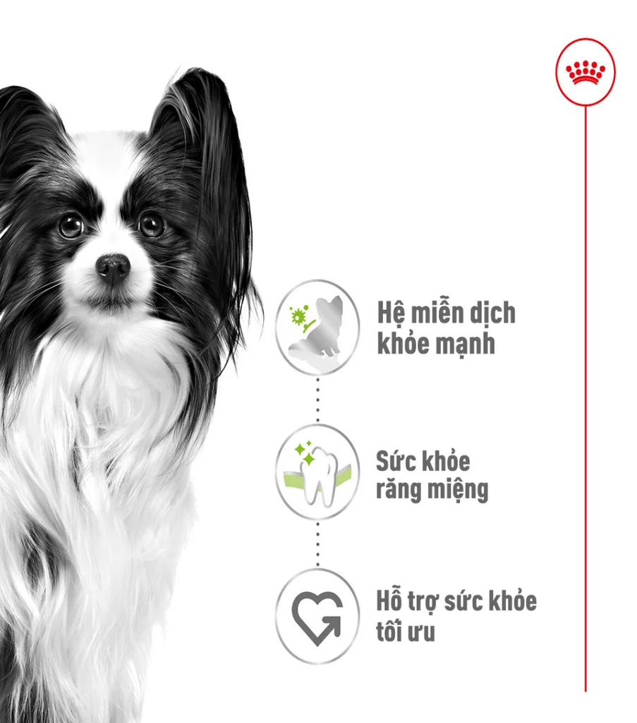 Thức Ăn Hạt Cho Chó Xsmall Adult