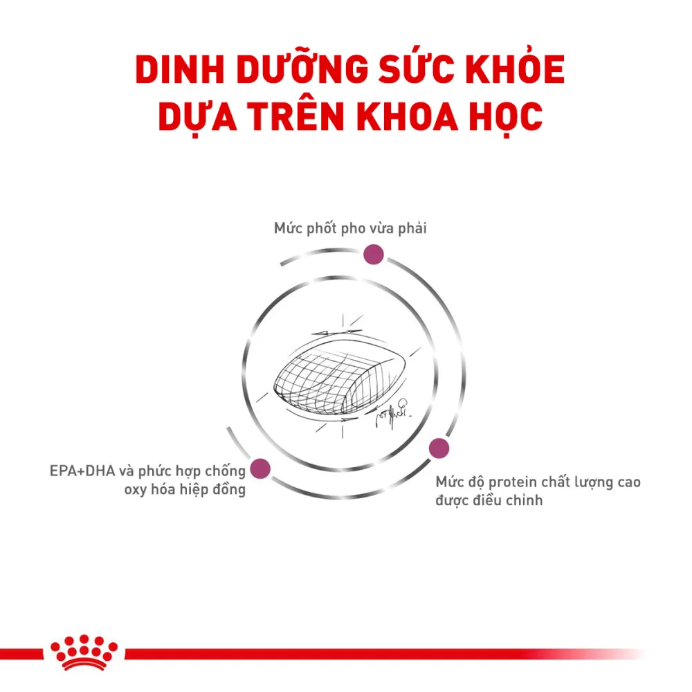 Thức Ăn Hạt Cho Chó Suy Thận Royal Canin Renal