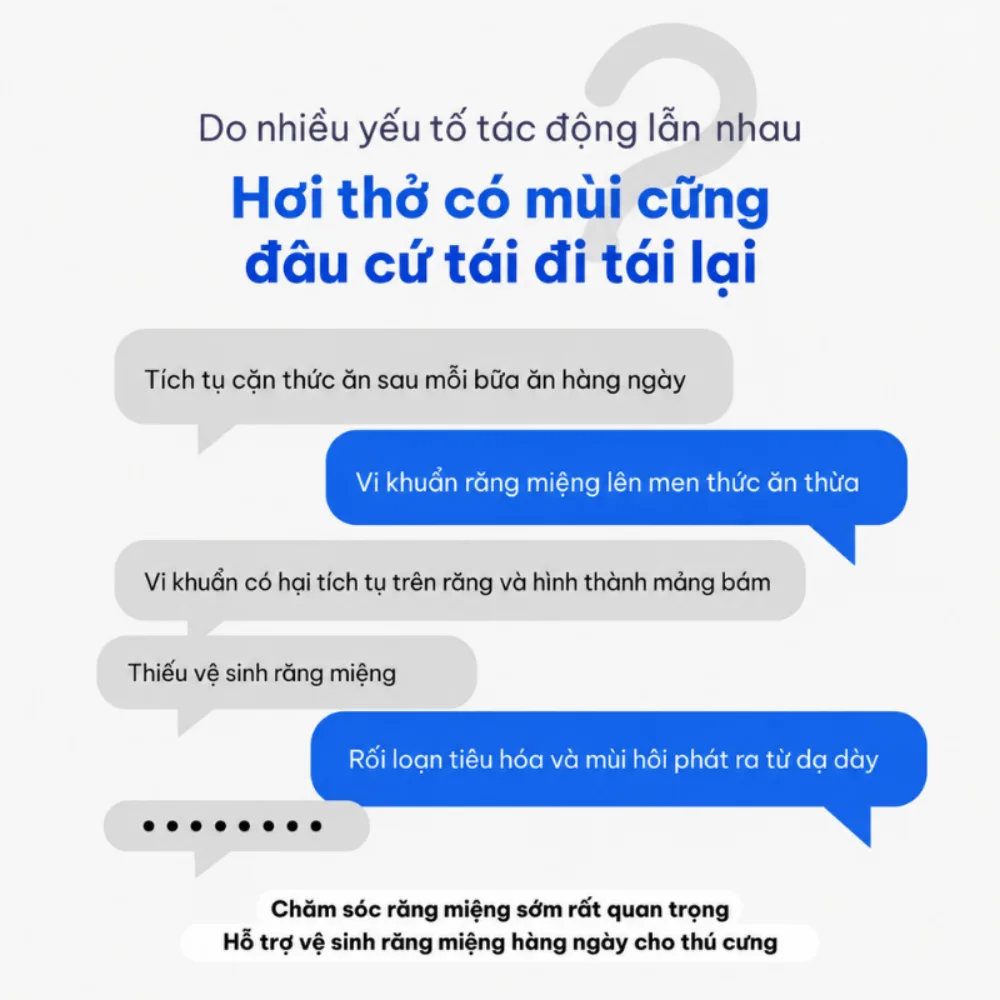Snack chăm sóc răng miệng cho mèo Dr.Vet