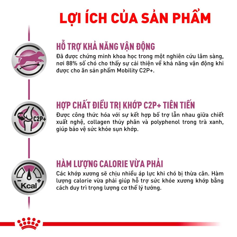 Thức Ăn Hạt Cho Chó Hỗ Trợ Xương Khớp Royal Canin Mobility C2P+