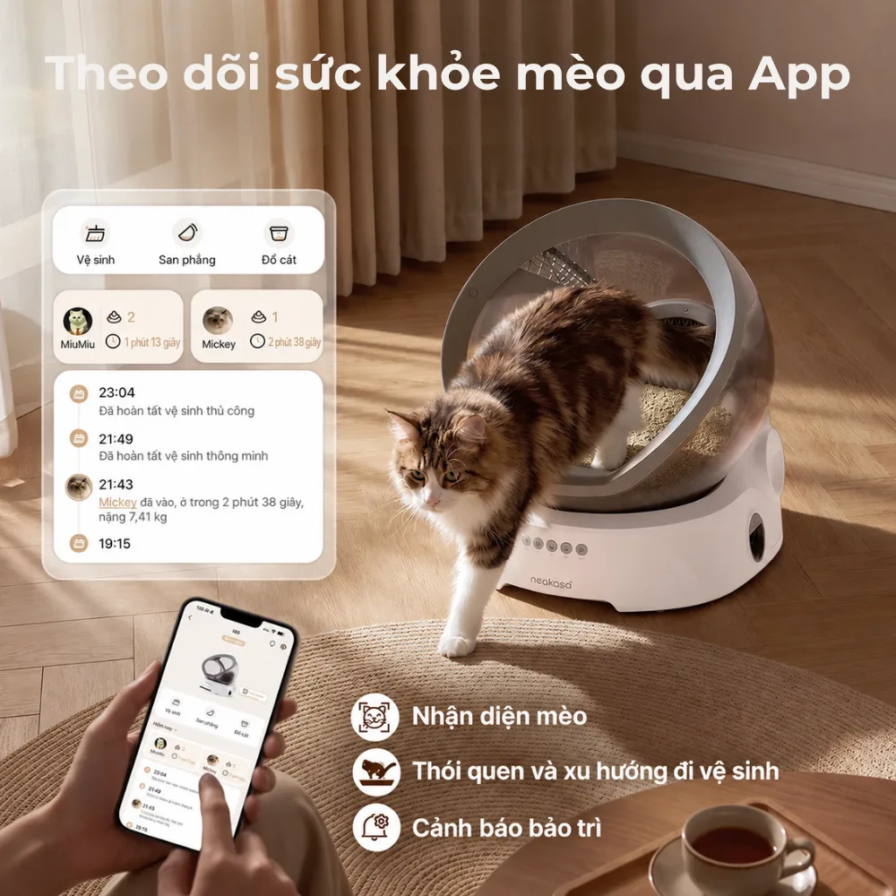 Máy dọn phân mèo Neakasa M9