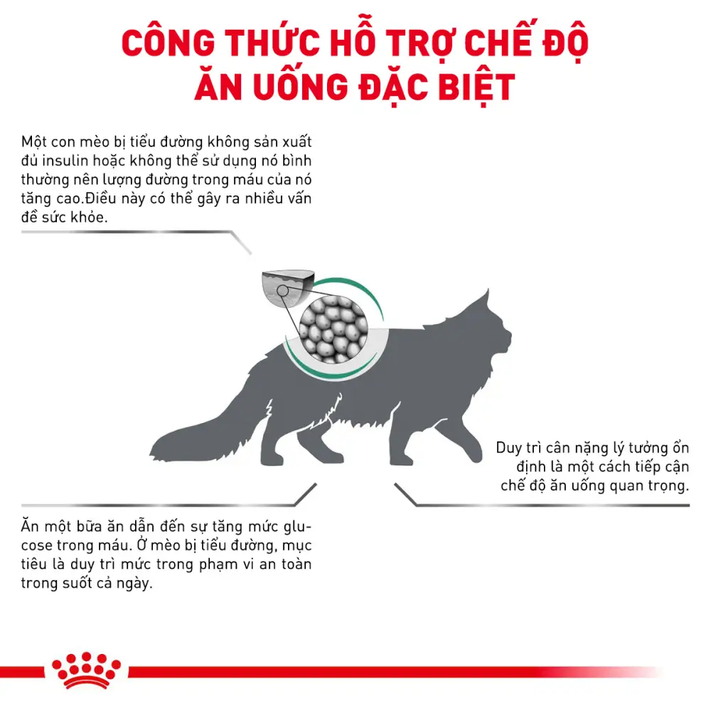 Thức Ăn Hạt Cho Mèo Tiểu Đường Royal Canin Diabetic