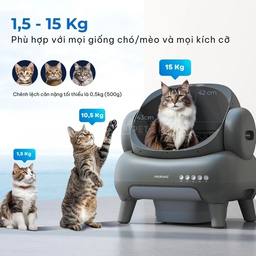 Máy dọn vệ sinh mèo Neakasa M1 Plus