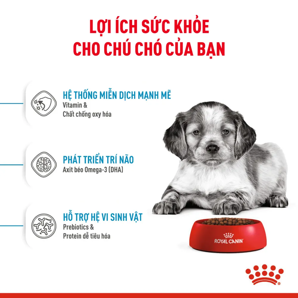 Thức Ăn Hạt Cho Chó Medium Puppy