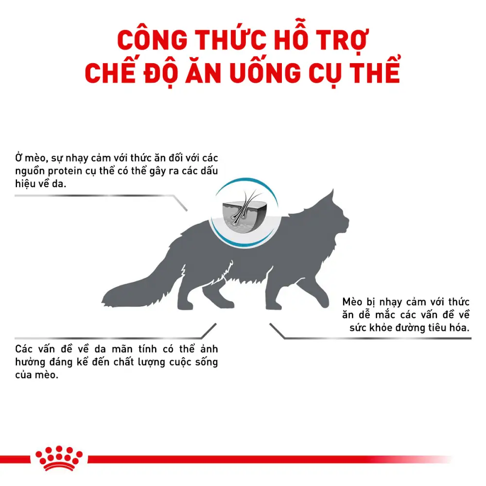 Thức Ăn Hạt Cho Mèo Dị Ứng Royal Canin Hypoallergenic