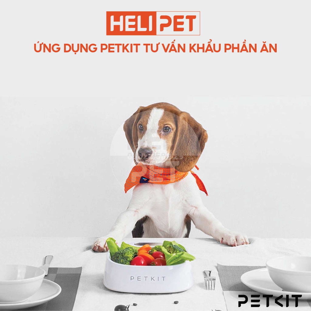 Bát ăn định lượng cho chó mèo Petkit