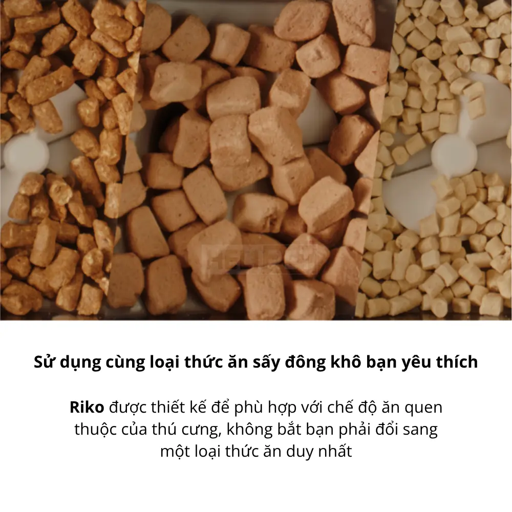 Máy chế biến thức ăn ướt tự động Neakasa Riko