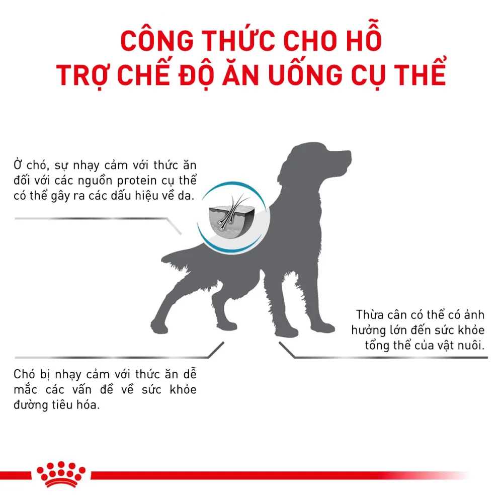 Thức Ăn Hạt Cho Chó Dị Ứng Royal Canin Hypoallergenic