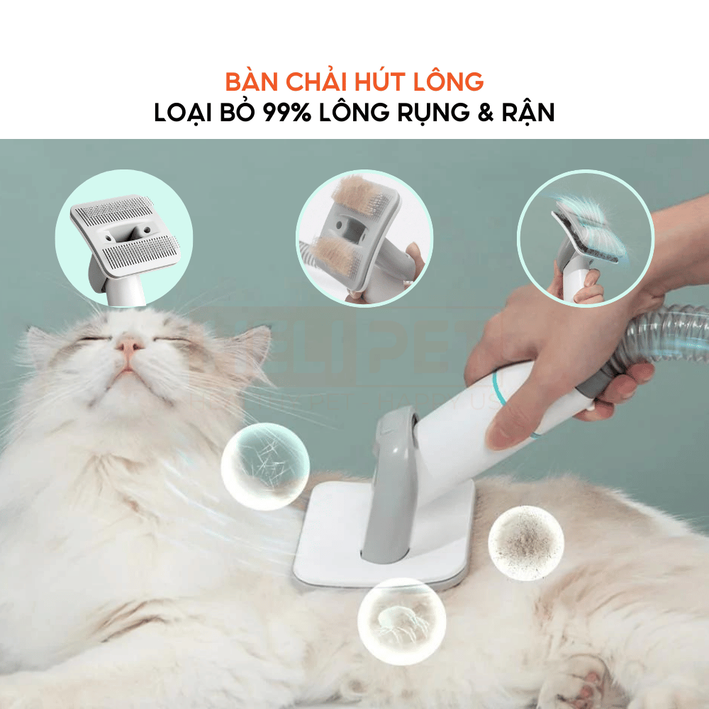 Máy chải hút lông chó mèo Neakasa P1 Pro 5-in-1 Pet Grooming Vacuum