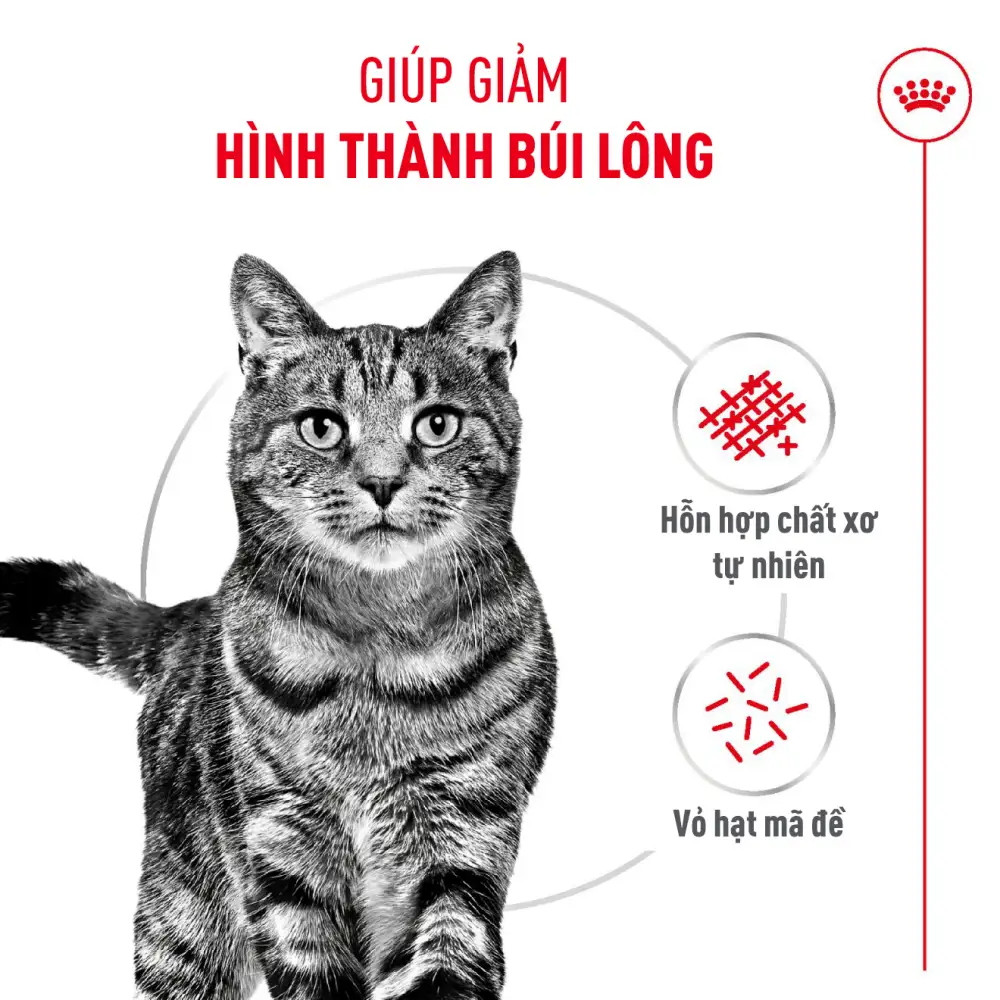 Thức Ăn Hạt Cho Mèo Tiêu Búi Lông Royal Canin Hairball
