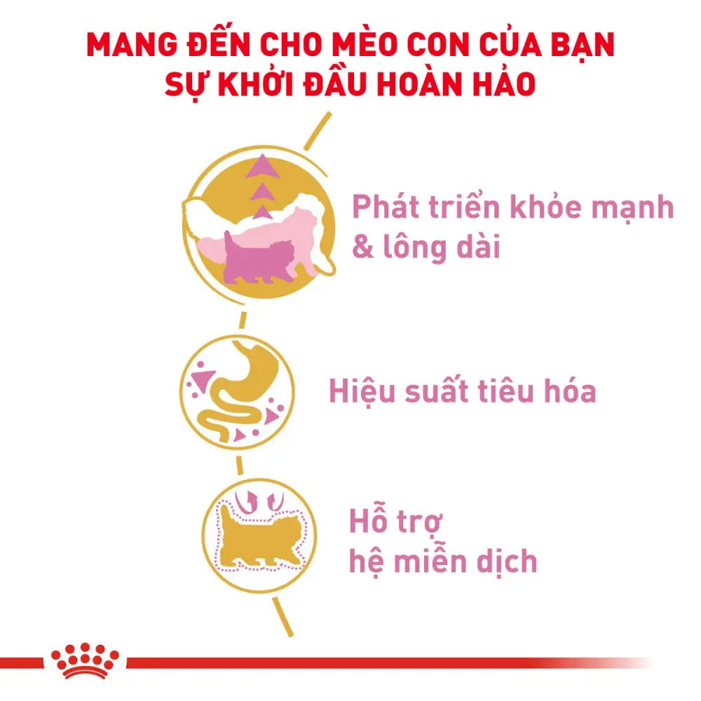 Hạt Cho Mèo Ba Tư Con Royal Canin Persian Kitten