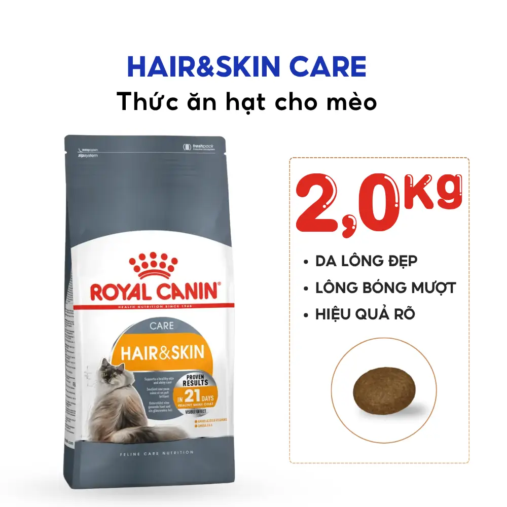 Thức Ăn Hạt Cho Mèo Trưởng Thành Dưỡng Lông & Da Royal Canin Hair & Skin Care