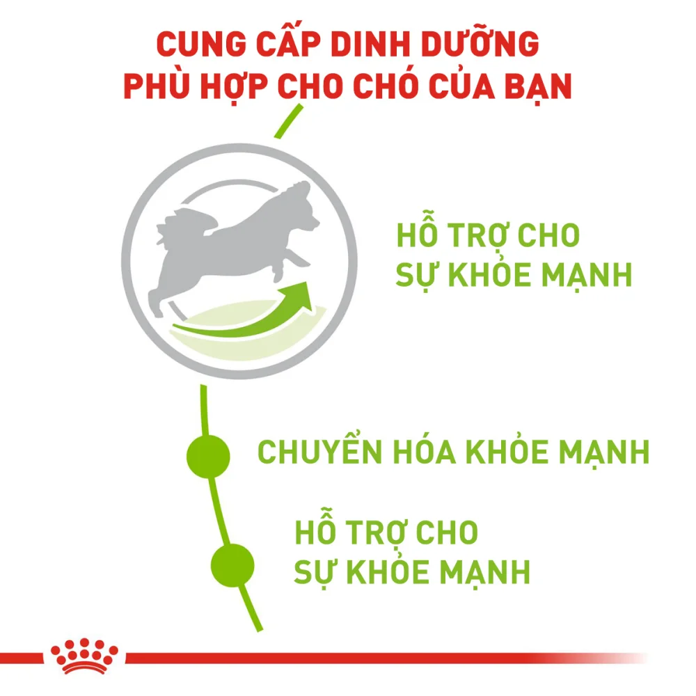 Thức Ăn Hạt Cho Chó Xsmall Adult