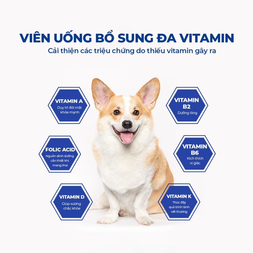 Vitamin tổng hợp cho chó DR.VET chứa Lentinan (200 viên)