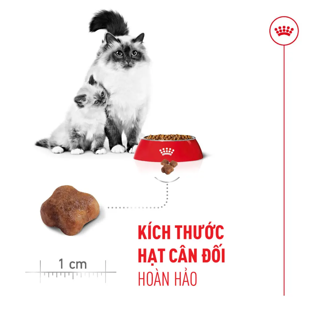 Thức Ăn Hạt Cho Mèo Mẹ & Mèo Con Royal Canin Mother & Babycat