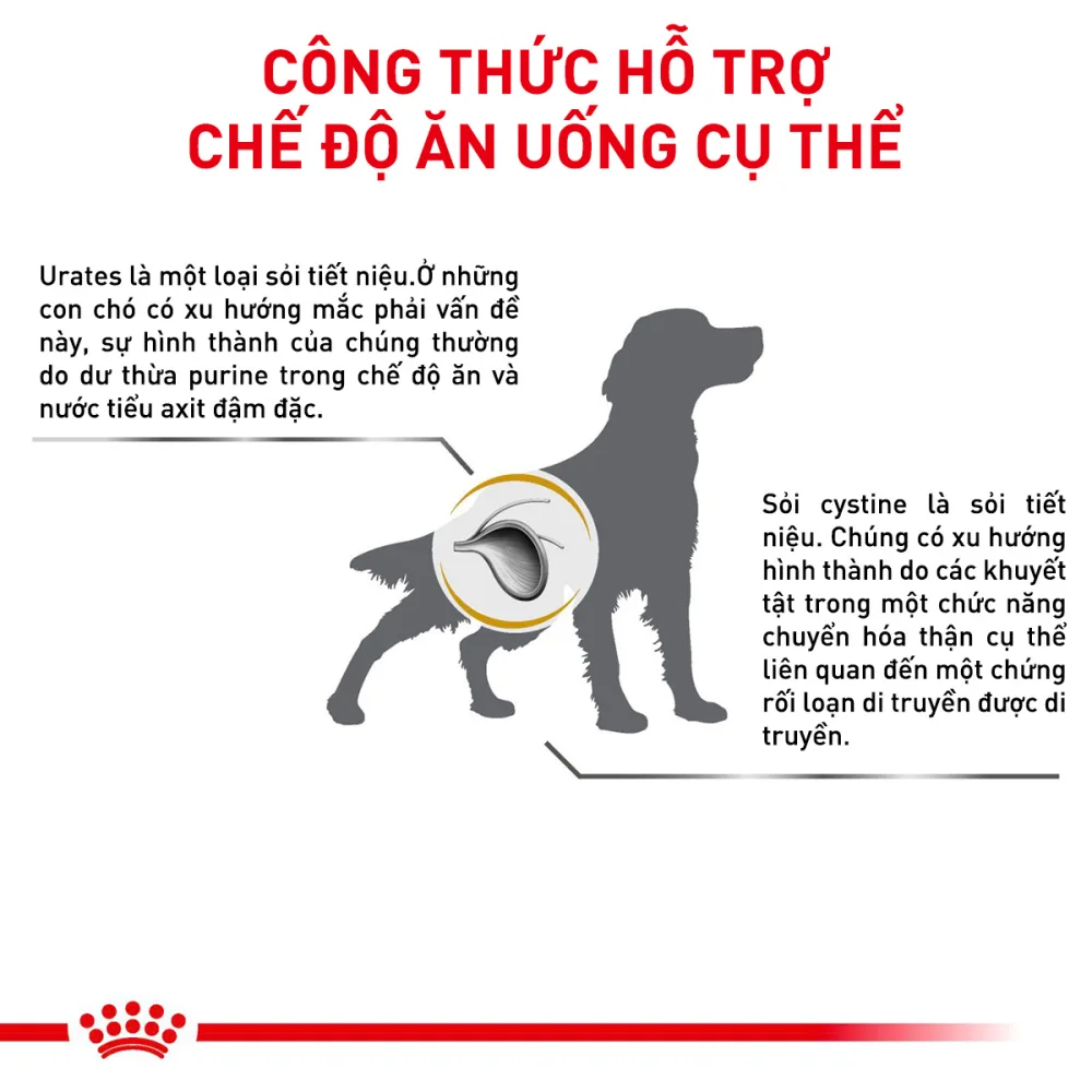 Thức Ăn Hạt Cho Chó Sỏi Thận Royal Canin Urinary S/O