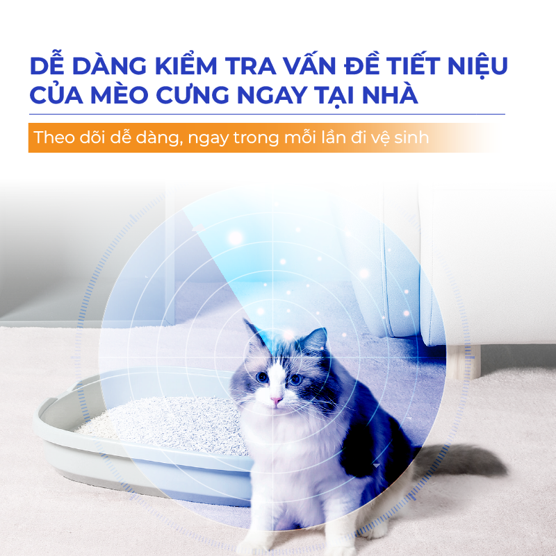 Hạt test máu trong nước tiểu mèo DR.VET