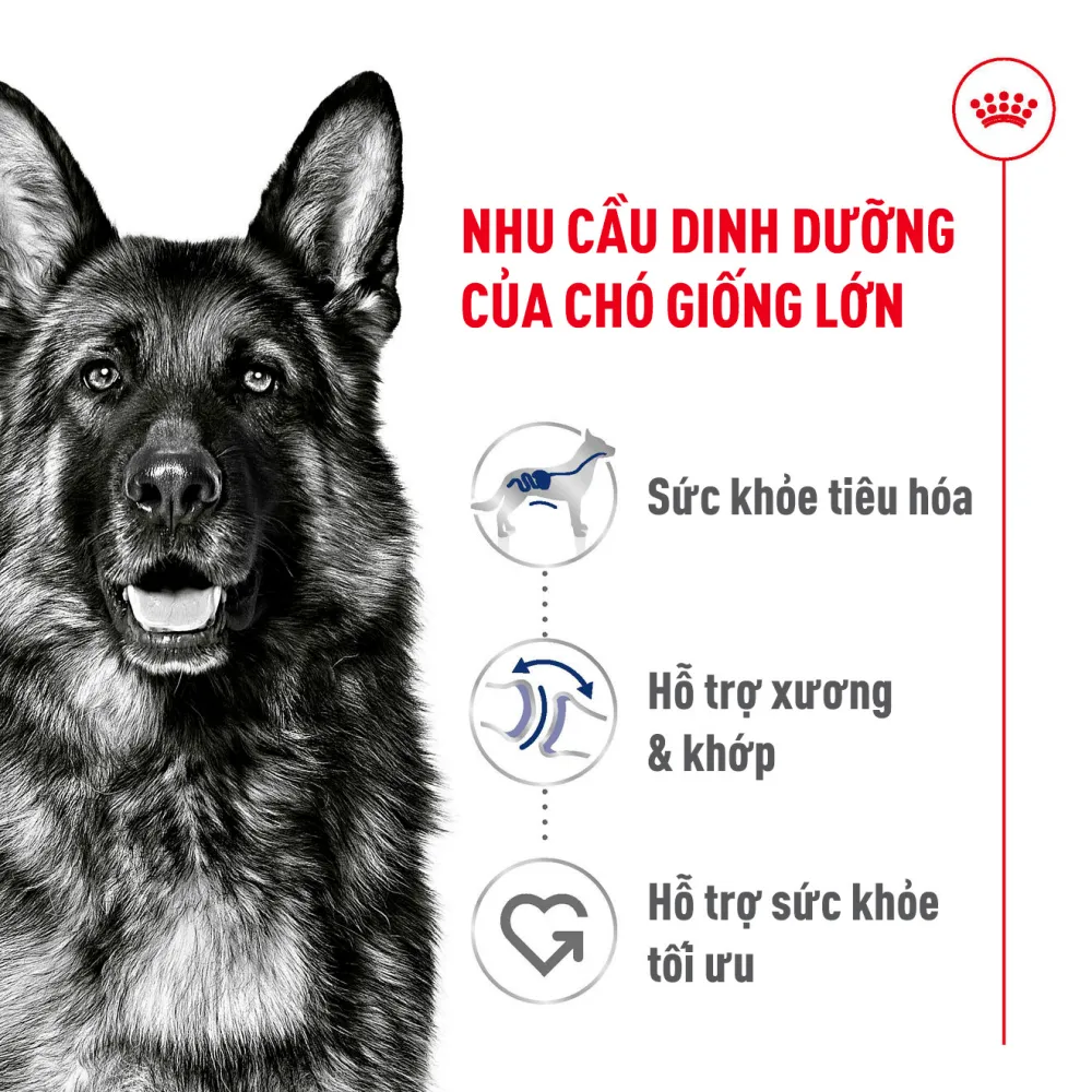 Thức Ăn Hạt Cho Chó Maxi Adult
