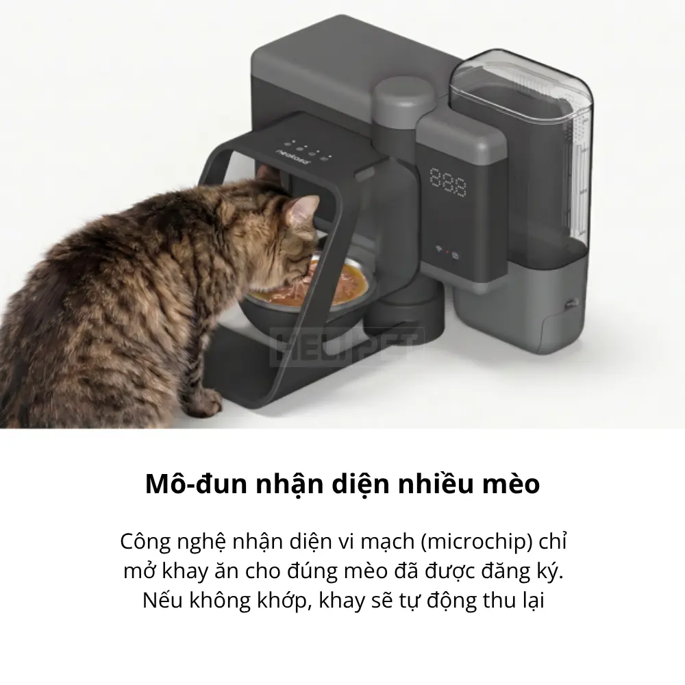 Máy chế biến thức ăn ướt tự động Neakasa Riko