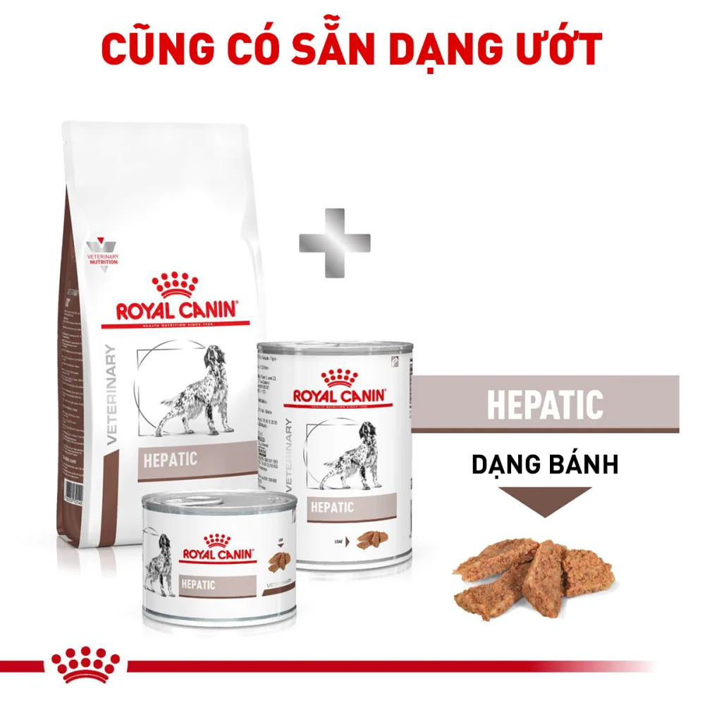 Thức Ăn Hạt Cho Chó Hỗ Trợ Gan Royal Canin Hepatic