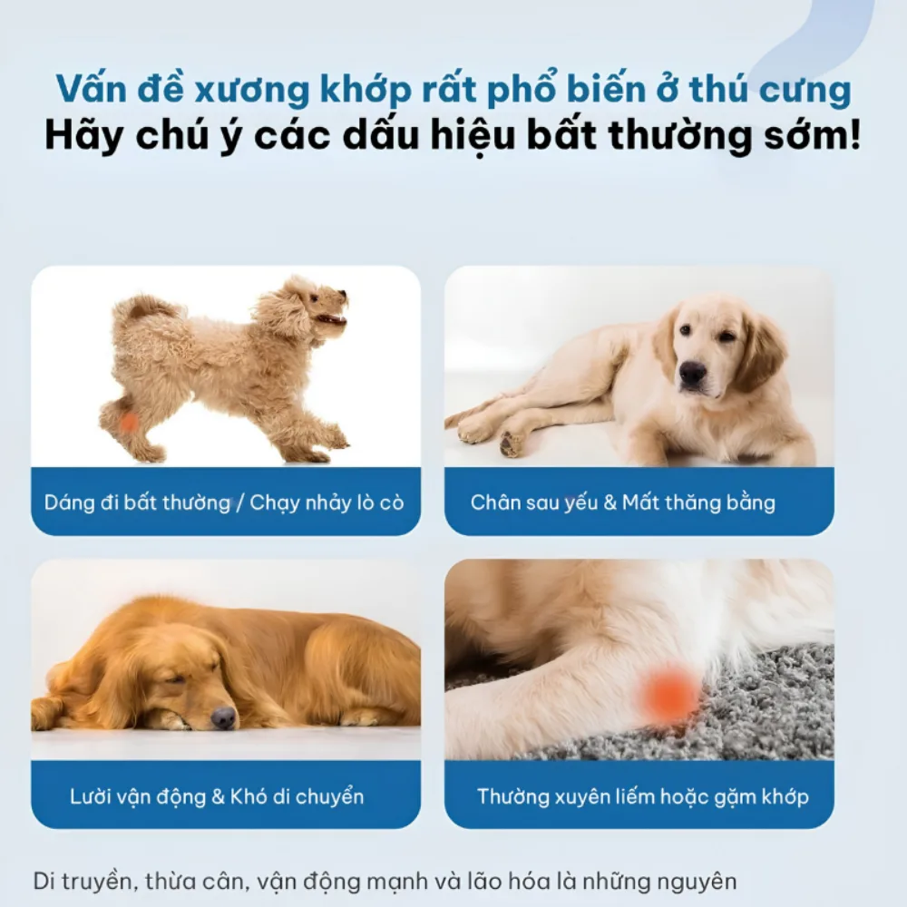 Snack cho thú cưng hỗ trợ xương khớp Dr.Vet