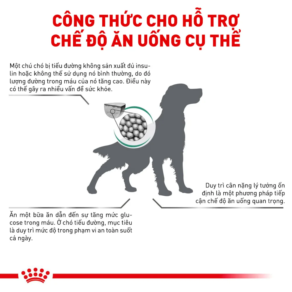 Thức Ăn Hạt Cho Chó Tiểu Đường Royal Canin Diabetic