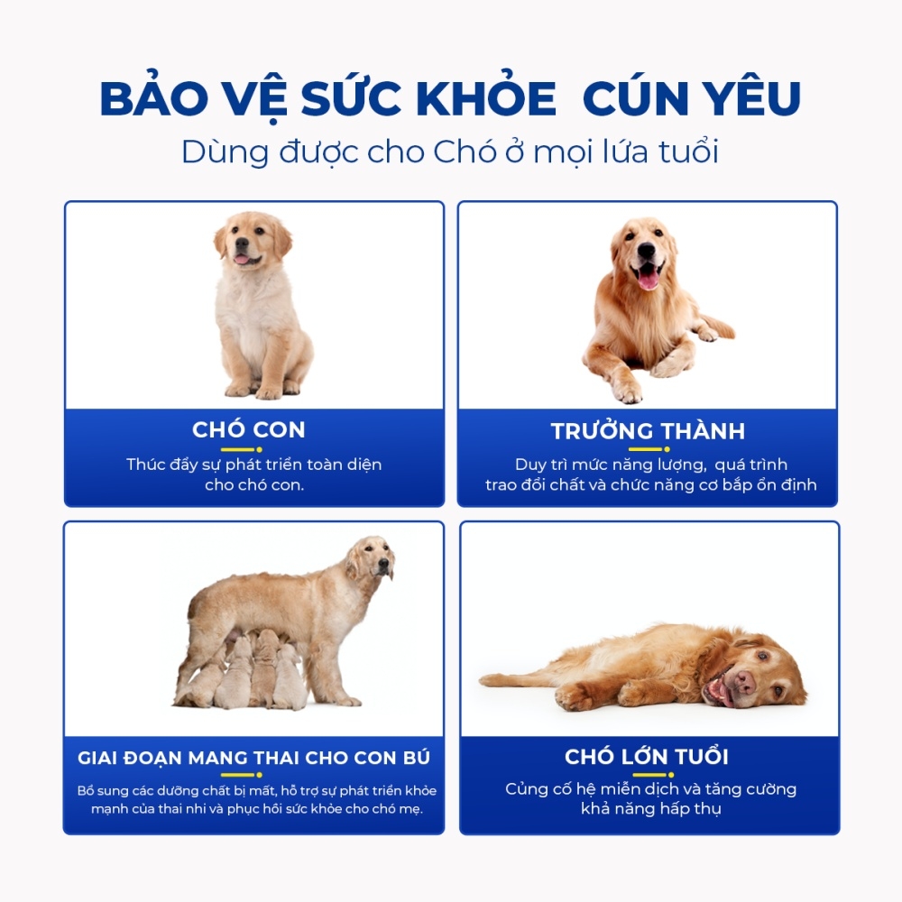 Vitamin tổng hợp cho chó DR.VET chứa Lentinan (200 viên)