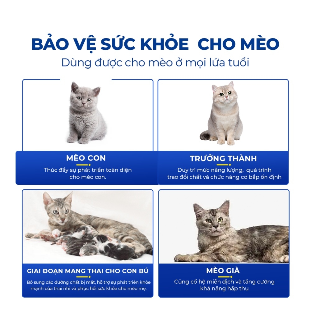 Vitamin tổng hợp cho mèo DR.VET có kháng thể IGY (200 viên)