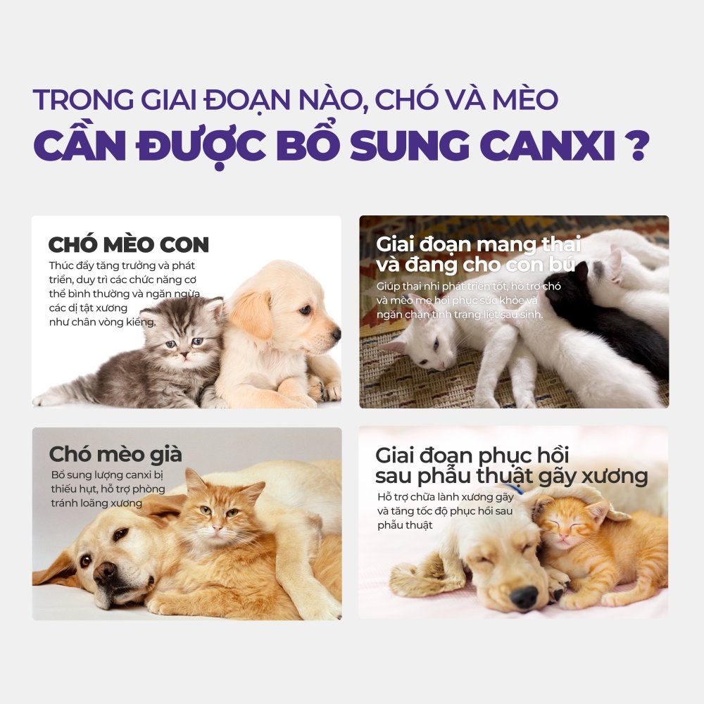 Viên bổ sung canxi cho chó mèo DR.VET (200 viên)
