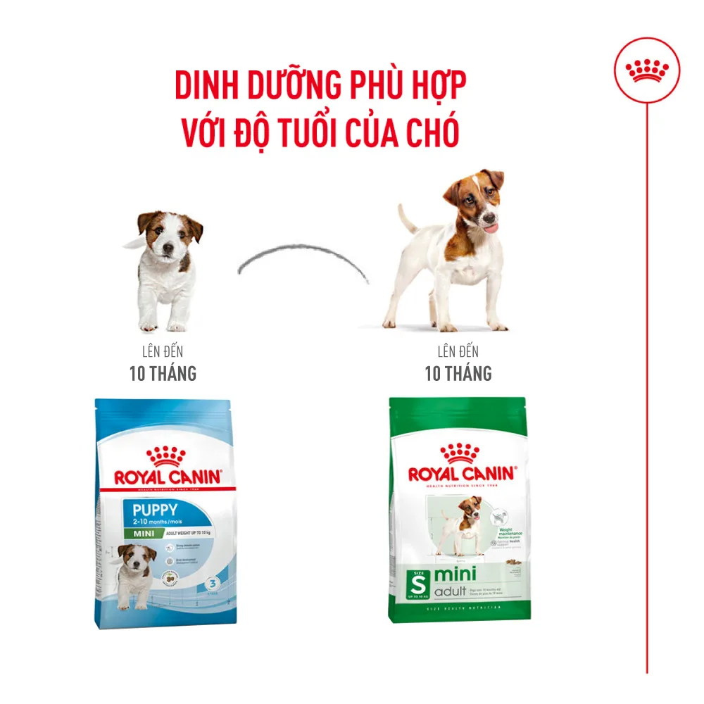 Thức Ăn Hạt Cho Chó Trưởng Thành Giống Nhỏ Royal Canin Mini Adult
