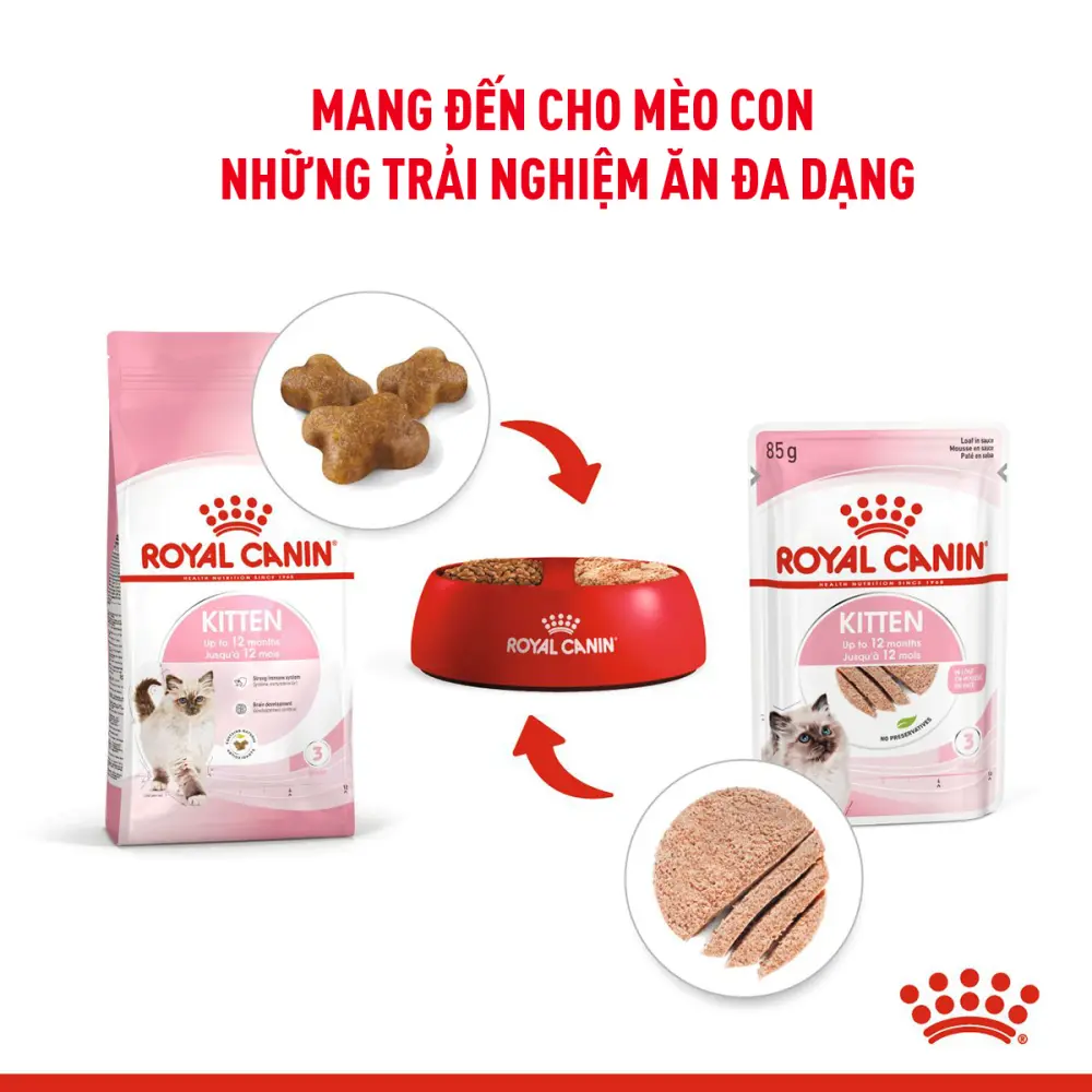 Thức Ăn Hạt Cho Mèo Con Royal Canin Kitten