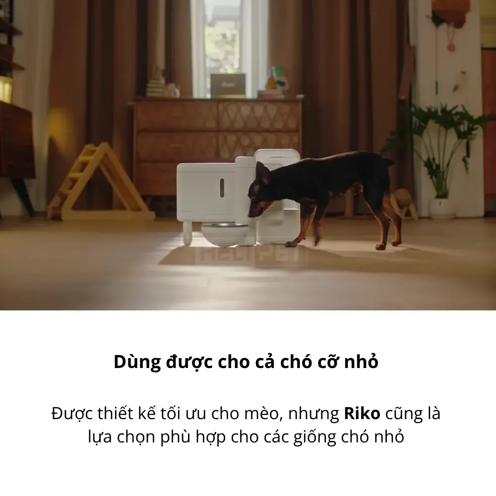 Máy chế biến thức ăn ướt tự động Neakasa Riko