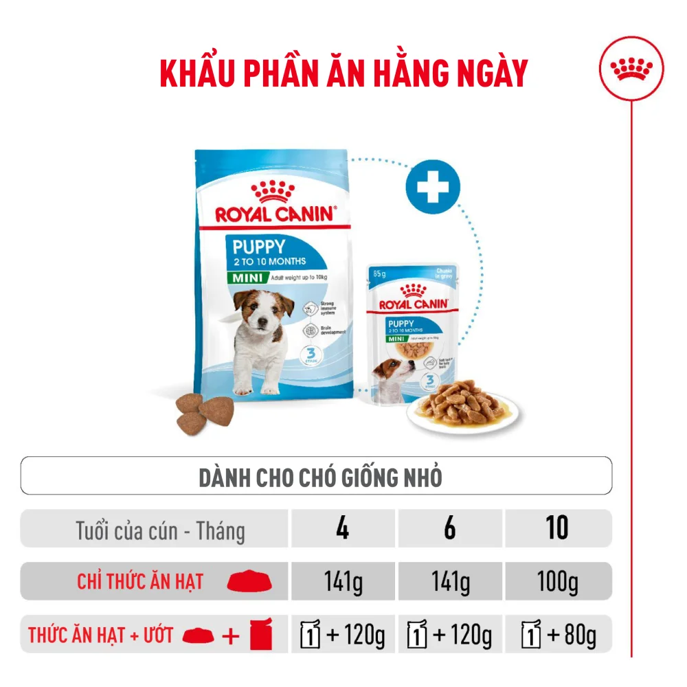 Thức Ăn Hạt Cho Chó Con Giống Nhỏ Royal Canin Mini Puppy