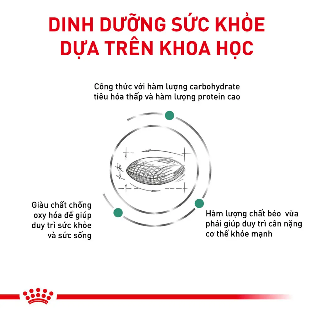 Thức Ăn Hạt Cho Mèo Tiểu Đường Royal Canin Diabetic