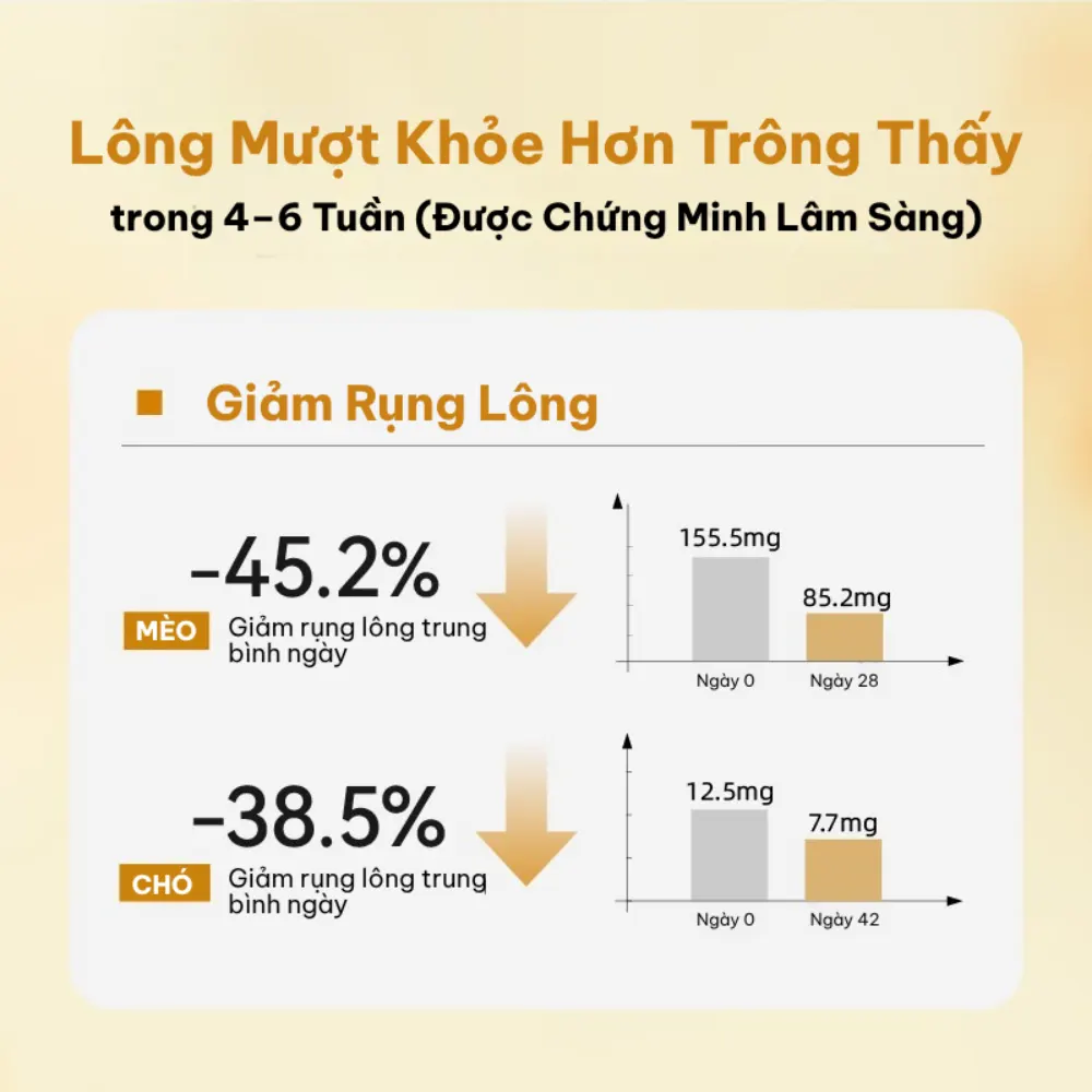 Snack cho thú cưng hỗ trợ da lông khỏe mượt Dr.Vet