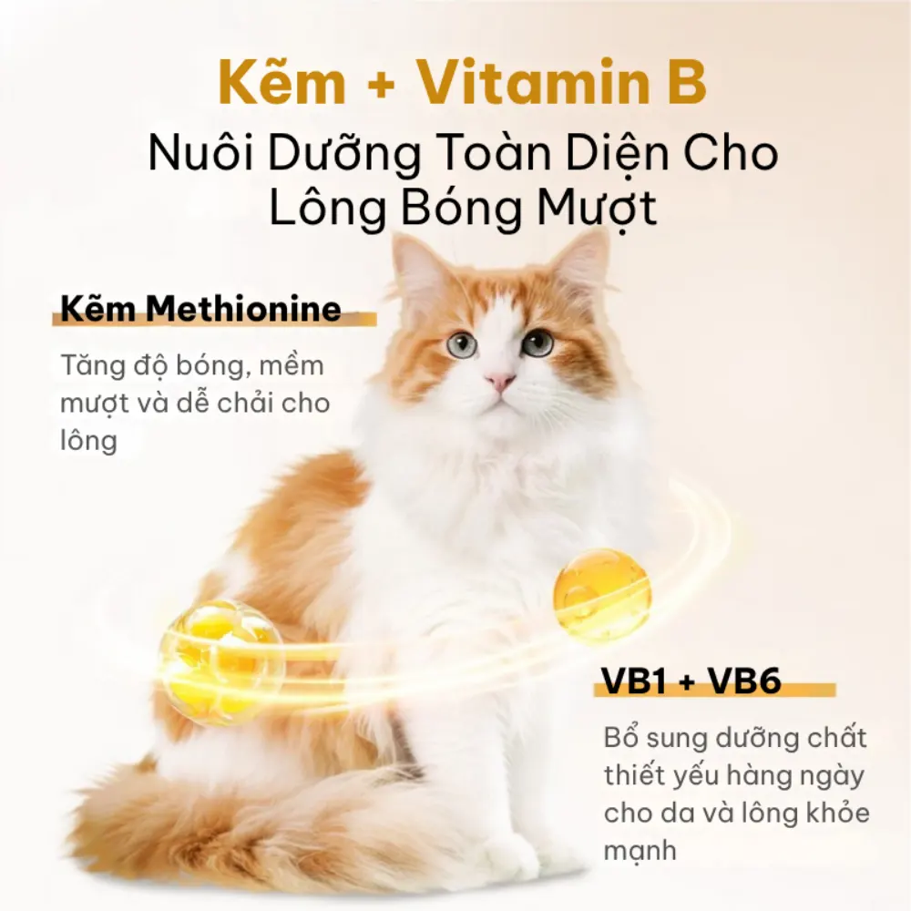 Snack cho thú cưng hỗ trợ da lông khỏe mượt Dr.Vet