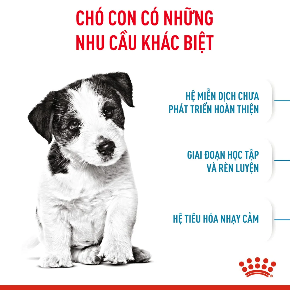 Thức Ăn Hạt Cho Chó Con Giống Nhỏ Royal Canin Mini Puppy
