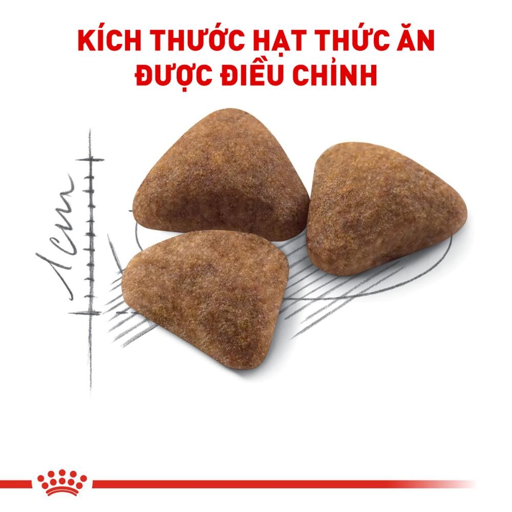 Thức Ăn Hạt Cho Mèo Trưởng Thành Nuôi Trong Nhà Royal Canin Indoor 27