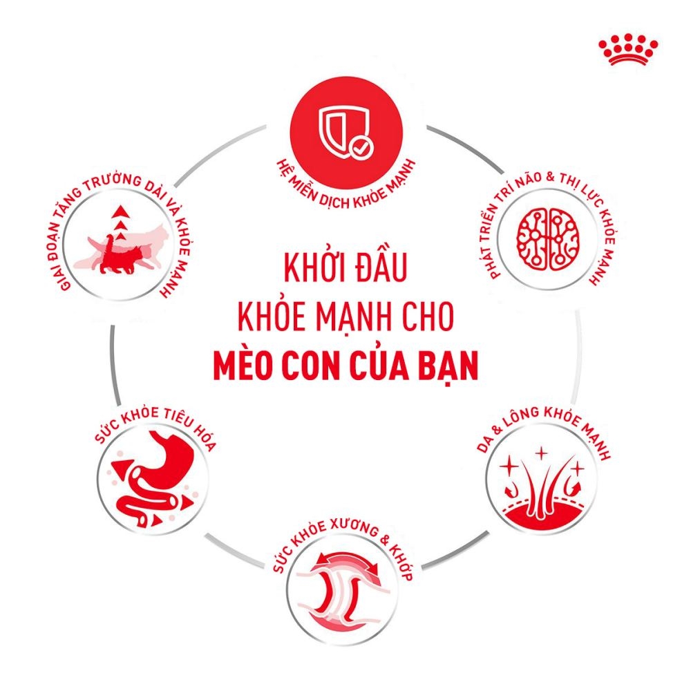 Pate Cho Mèo Kích Thích Giác Quan Royal Canin Sensory