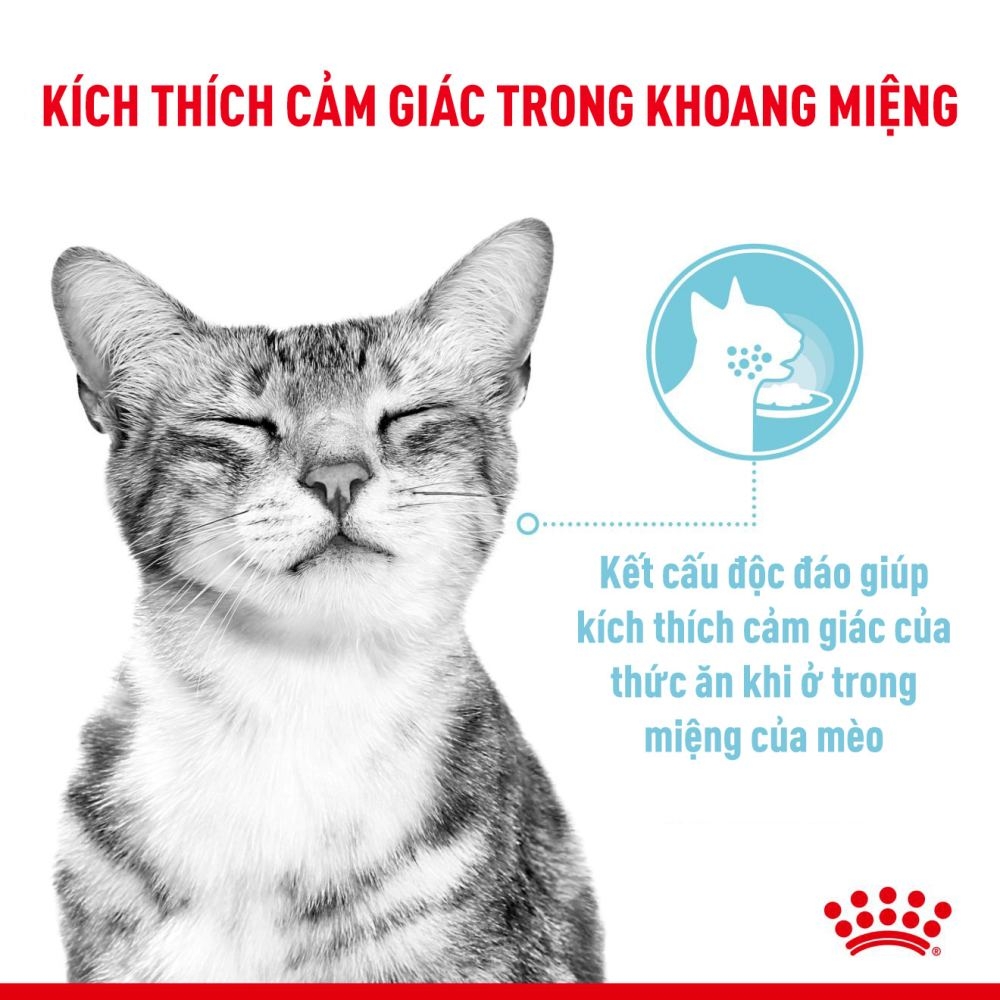 Pate Cho Mèo Kích Thích Giác Quan Royal Canin Sensory