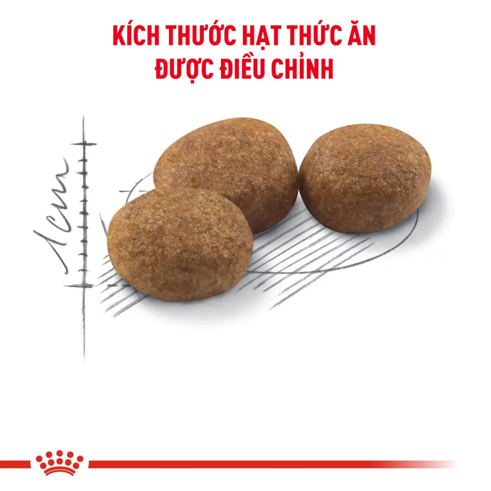 Hạt Cho Mèo Triệt Sản Trưởng Thành Royal Canin Sterilised 37