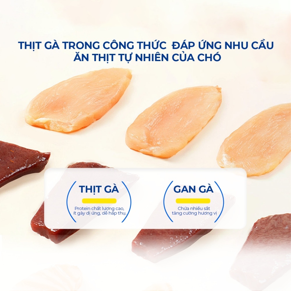 Vitamin tổng hợp cho chó DR.VET chứa Lentinan (200 viên)